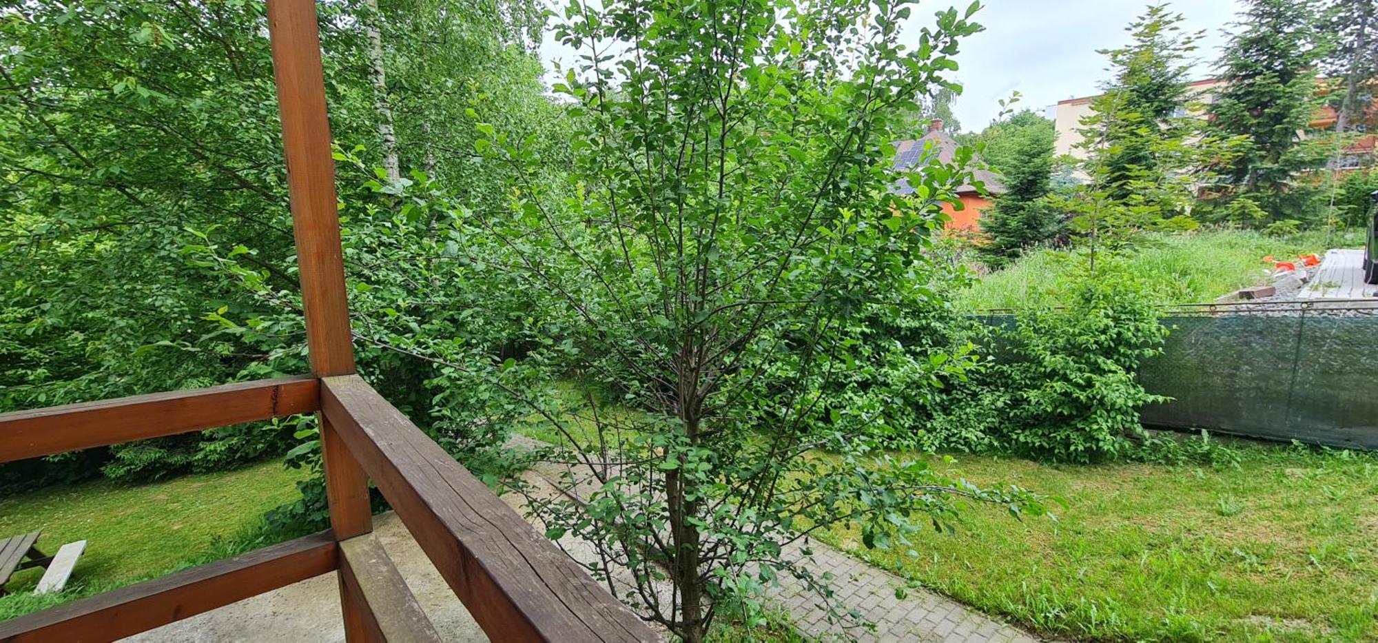 Apartmany Orlová מראה חיצוני תמונה